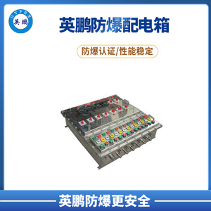 英鹏防爆配电箱BXK-51