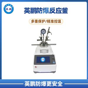 英鹏CXT通用型快开式磁力搅拌防爆反应釜